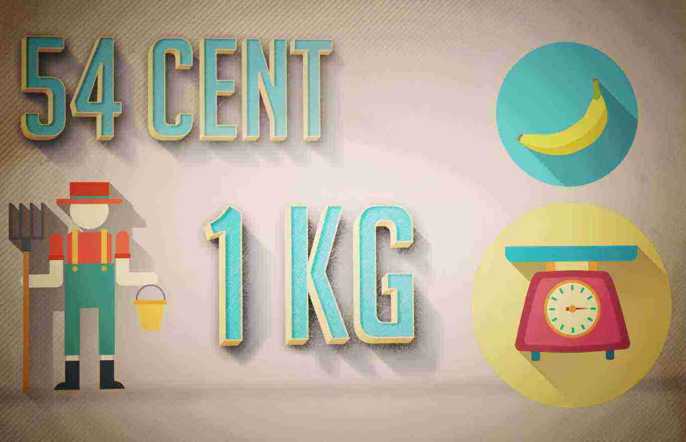 TV Infografik